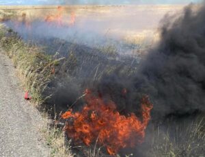 Şırnak’ta, 60 dönüm buğday ekili alan yandı
