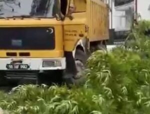 Sivas’ta kuvvetli rüzgar ağaçları devirdi