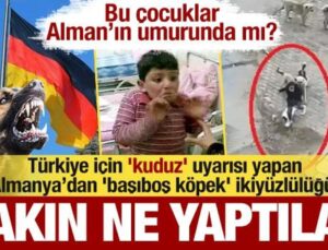 Türkiye için ‘kuduz’ uyarısı yapan Almanya’dan ‘köpek’ ikiyüzlülüğü! Bakın ne yaptılar