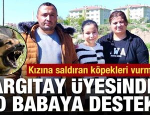 Yargıtay üyesinden kızına saldıran köpekleri vuran babaya destek!