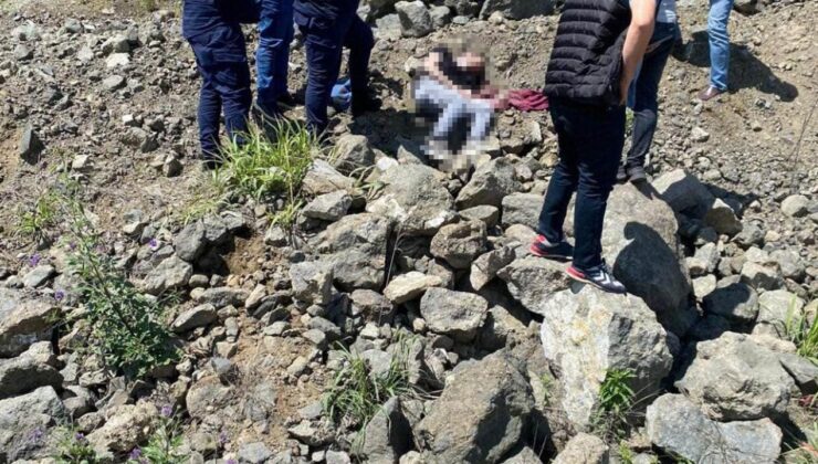 Yol kenarında bir gencin ceseti bulundu