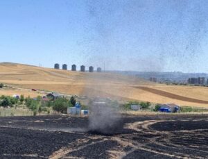 Ankara’da ekili 100 dönüm buğday ve arpa yandı