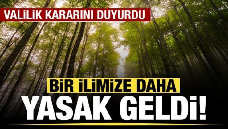 Ankara’da ormanlık alanlara girişler yasaklandı!