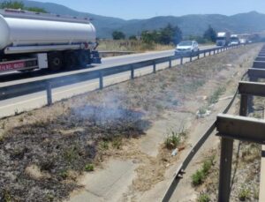 Araçtan atılan izmarit yangın çıkardı