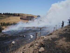 Ayvalık’ta yangın! Alevler kontrol altına alındı