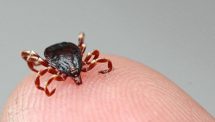 Bu sefer yer Yozgat! KKKA hastalığı şüphesiyle tedavi gören kişi öldü