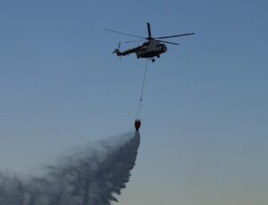 Çanakkale, İzmir, Manisa ve Uşak’ta orman yangını