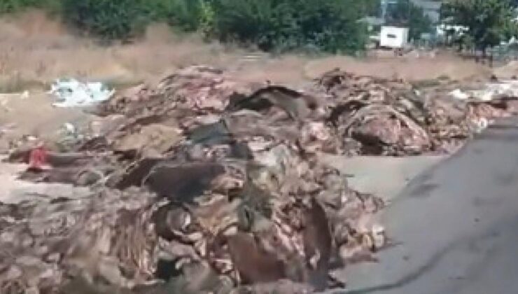 CHP’li isim CHP’li belediyeyi göreve çağırdı