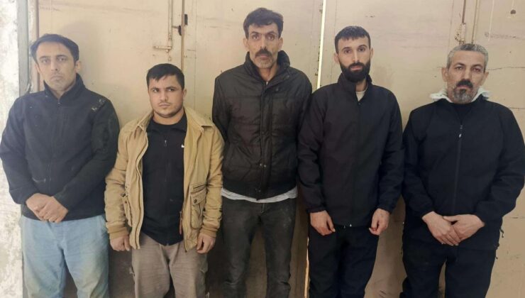 Edirne’de 5 kaçak göçmen yakalandı