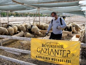 Gaziantep’te Kurban Bayramı öncesi kurban kesim noktaları ilaçlandı