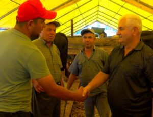 Kurban pazarında yoğunluk çok satış az!