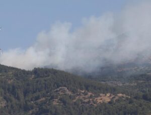 Manisa’da orman yangını