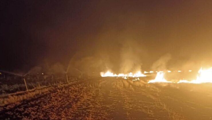 Mardin’de 4 farklı noktada anız yangını