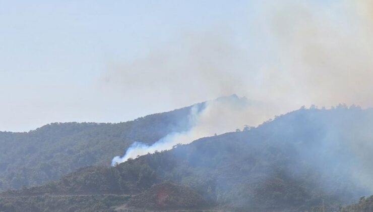 Marmaris’te orman yangını! Kontrol altına alındı