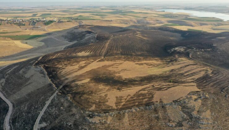 Son Dakika: Diyarbakır ve Mardin’deki yangınlarla ilgili soruşturma başlatıldı!