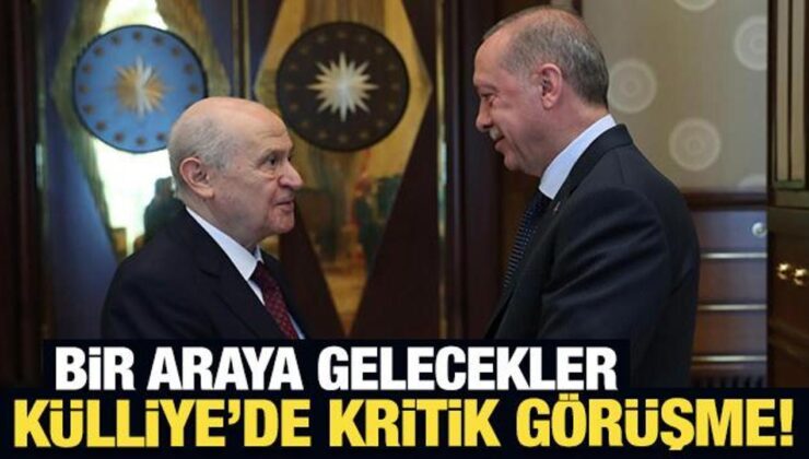 Son Dakika: Erdoğan ile Bahçeli yarın görüşecek!
