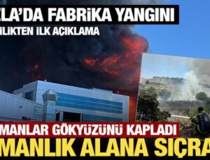 Son Dakika… Tuzla’da fabrika yangını: Bitişikteki fabrikaya ve ormanlık alana sıçradı!