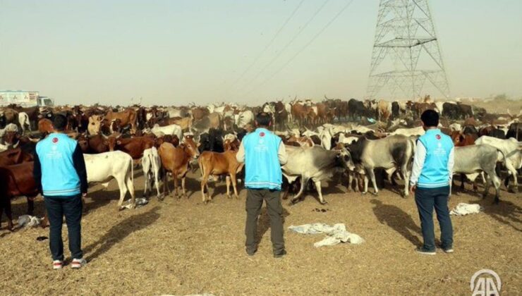 TDV, Sudan’da vekalet yoluyla kurbanlıkların kesimine ve dağıtımına başladı