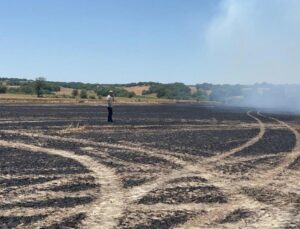 Tekirdağ’da anız yangını! 50 dönüm ekili buğday küle döndü