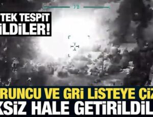 Turuncu ve gri listeye çizik: Şırnak’ta 4 terörist etkisiz hale getirildi