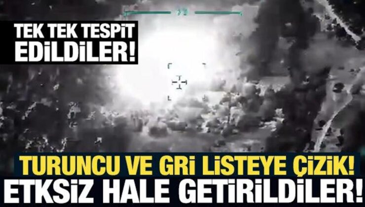 Turuncu ve gri listeye çizik: Şırnak’ta 4 terörist etkisiz hale getirildi