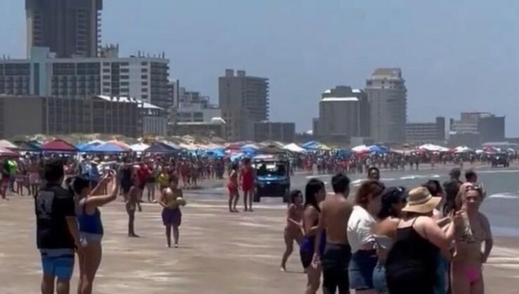 ABD'de halk plajında köpek balığı saldırısı! | Dış Haberler