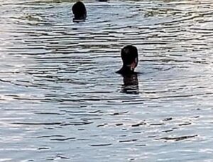 Aras Nehri’nde kaybolmuştu: 12 yaşındaki Yusuf’tan acı haber geldi