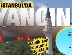 Aydos Ormanı’nda yangın! Dumanlar gökyüzünü kapladı