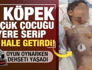 Başıboş köpekler dehşet saçtı! 5 yaşındaki çocuk ağır yaralandı