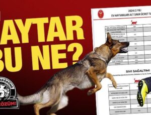 Baytar bu ne? ‘Ötenazi’ fiyatı belirleyen TVHB’den ikiyüzlü tavır!