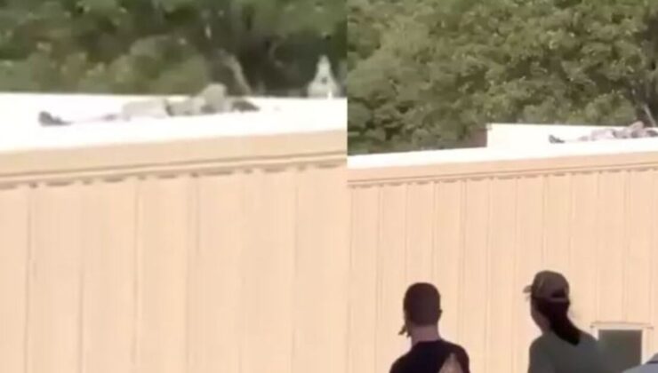 Çatıdaki kişi öldürüldü iddiası | Dış Haberler