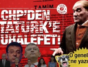 CHP’den Atatürk’e muhalefet! Atatürk hükümeti başıboş köpeklere ne yapmıştı?