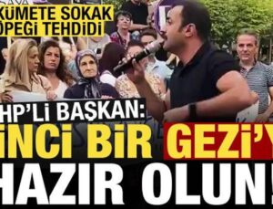 CHP’li başkandan hükümete sokak köpeği tehdidi: İkinci bir Gezi’ye hazır olun…