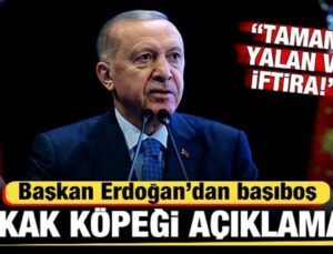 Erdoğan’dan son dakika başıboş sokak köpeği açıklaması: Yalan ve çarpıtma