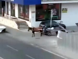 İstanbul’da bir garip hırsızlık: Görenler şaşkına döndü