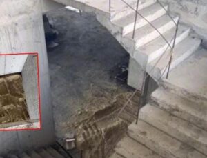 İstanbul’da vahşet! Genç kızı boğup 6 parçaya ayırmış!