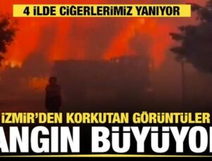 İzmir, Manisa, Balıkesir ve Kütahya’da orman yangını