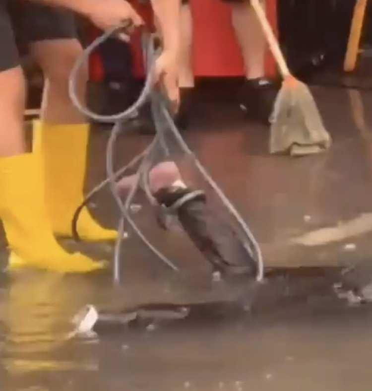 <p>Şiddetli yağmurun vurduğu Konak'ta yağmurdan kaçmaya çalışan başına geleceklerden habersiz 2 kişi, büyük bir ihmalin kurbanı oldu.</p><p> </p>