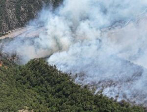 Karabük’te ormana yıldırım düştü, yangın çıktı