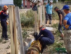 Menfeze düşen inek AFAD tarafından kurtarıldı