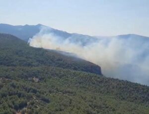 Muğla’da orman yangını