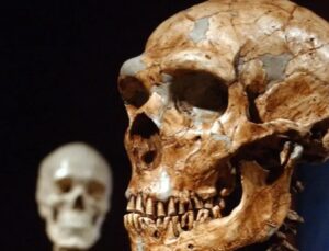 Uganda’da bir tapınakta 17 kafatası bulundu | Dış Haberler