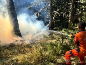 Uludağ’ın eteklerinde korkutan yangın!