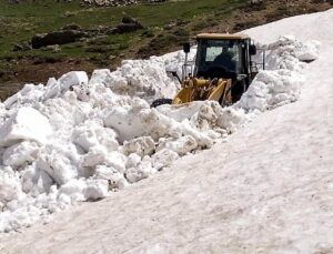 Van’da kardan kapalı olan yayla yolları açıldı