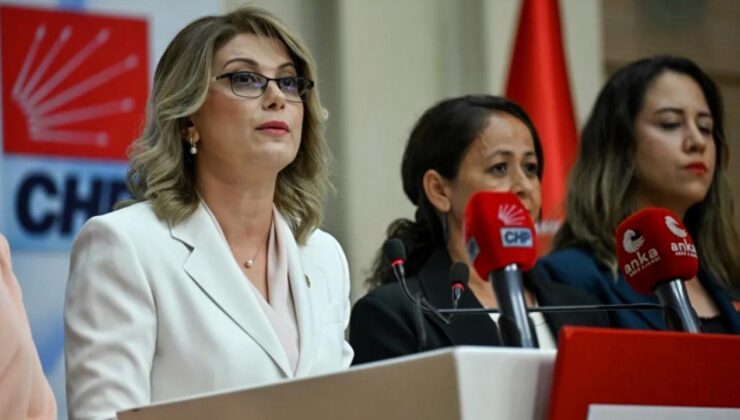CHP’nin yeni kadın kolları başkanı belli oldu