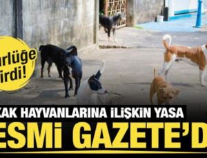 Sahipsiz hayvanlara yönelik düzenlemeler içeren kanun Resmi Gazete’de